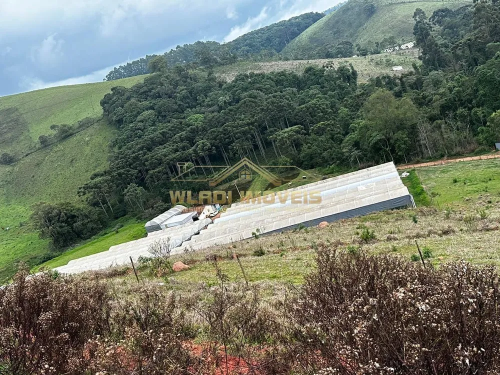 Sítio, 10 hectares - Foto 4