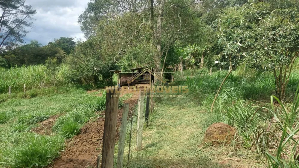 Chácara, 7000 m² - Foto 5