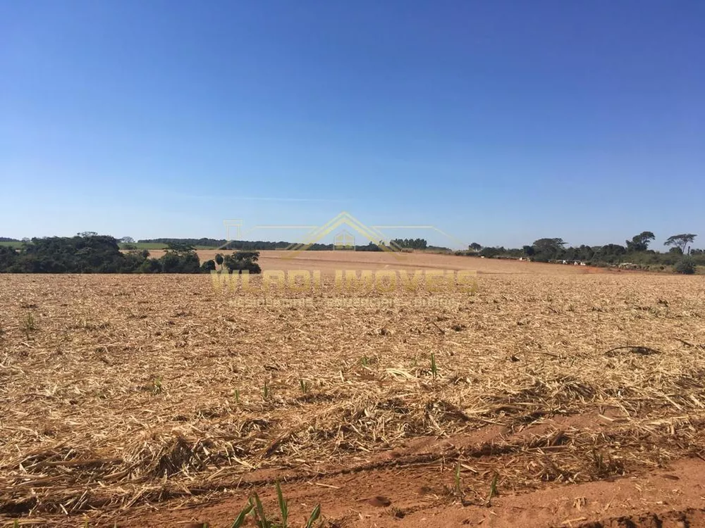 Fazenda, 1125 m² - Foto 4