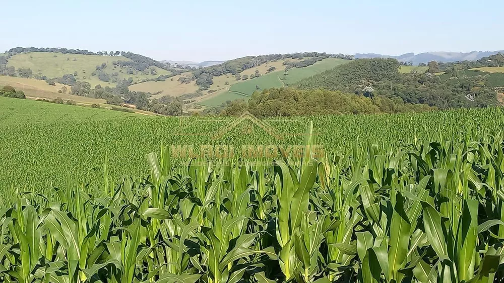 Fazenda, 72 m² - Foto 4