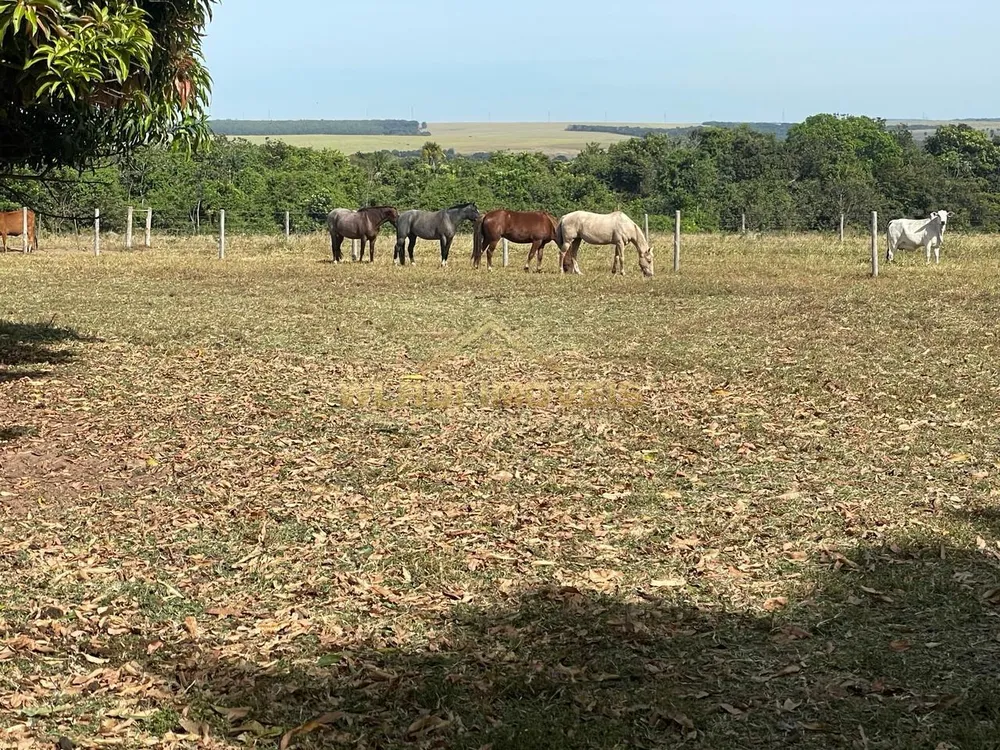 Fazenda, 487 m² - Foto 14
