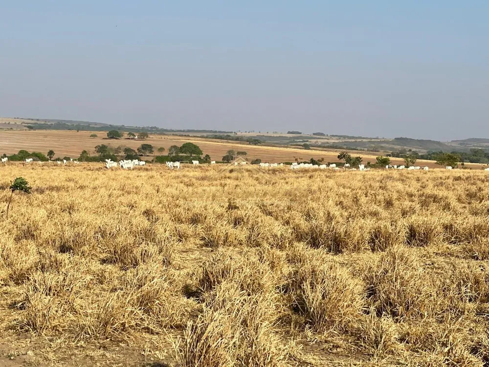 Fazenda, 487 m² - Foto 7