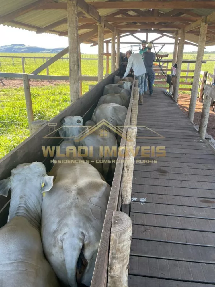 Fazenda à venda, 487m² - Foto 1