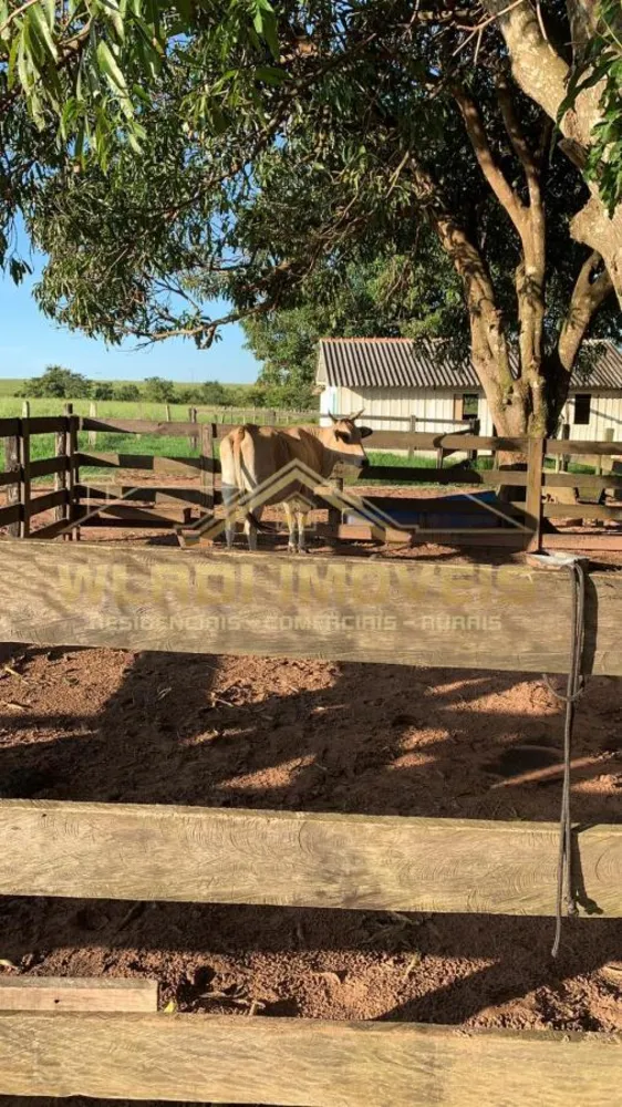 Fazenda, 487 m² - Foto 13