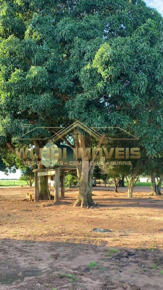 Fazenda, 487 m² - Foto 10