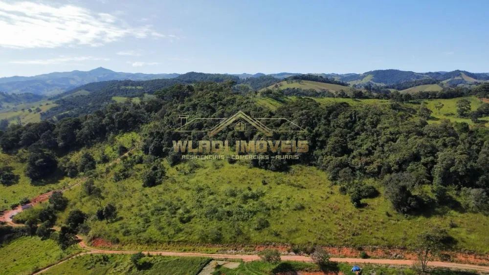 Sítio, 4 hectares - Foto 4