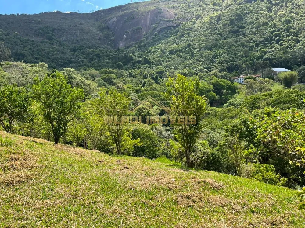 Sítio, 3 hectares - Foto 8
