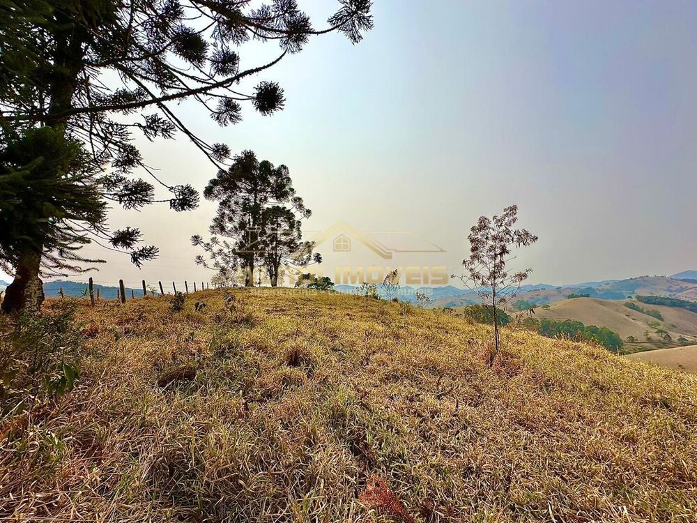 Terreno à venda, 20000m² - Foto 6