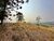 Terreno, 2 hectares - Foto 6