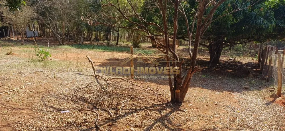Chácara, 2 hectares - Foto 4