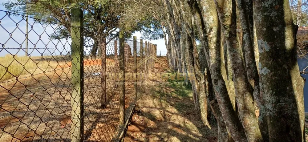 Sítio, 2 hectares - Foto 8
