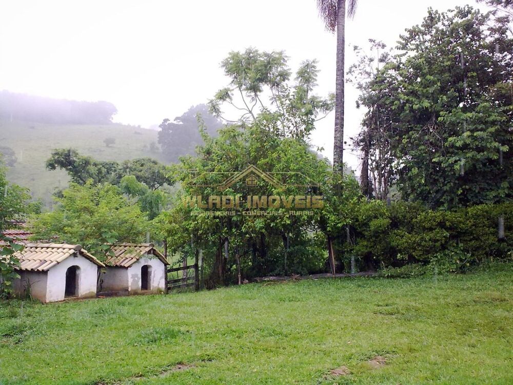 Sítio à venda com 4 quartos, 45600m² - Foto 7