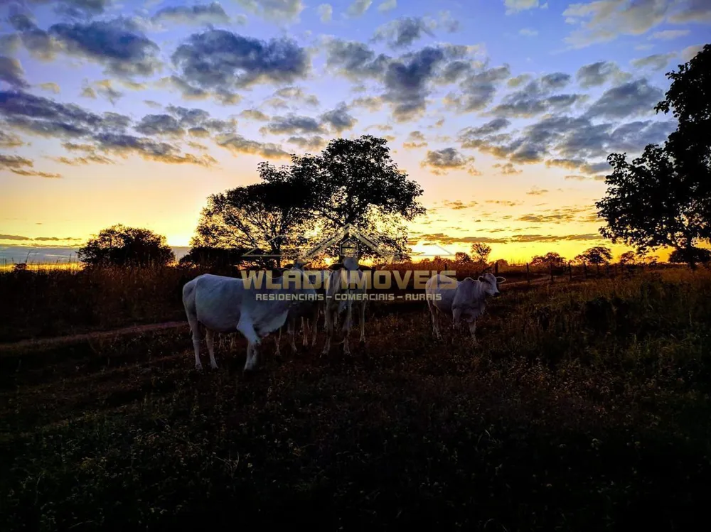 Fazenda, 1844 m² - Foto 5