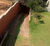 Chácara, 3 quartos, 800 m² - Foto 2