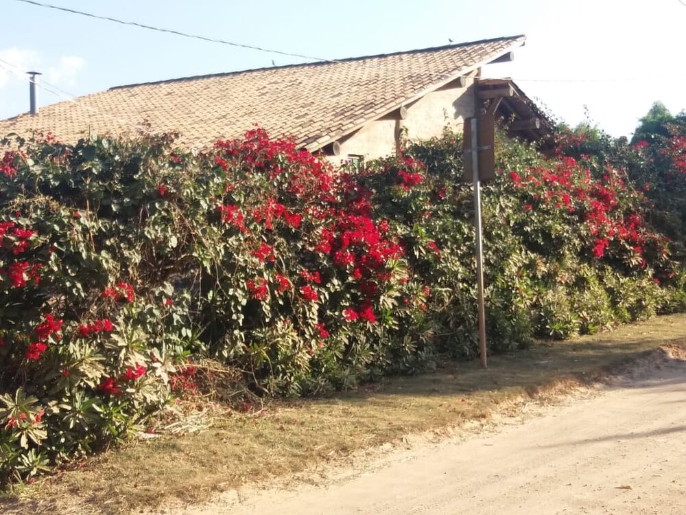Chácara, 3 quartos, 1000 m² - Foto 1