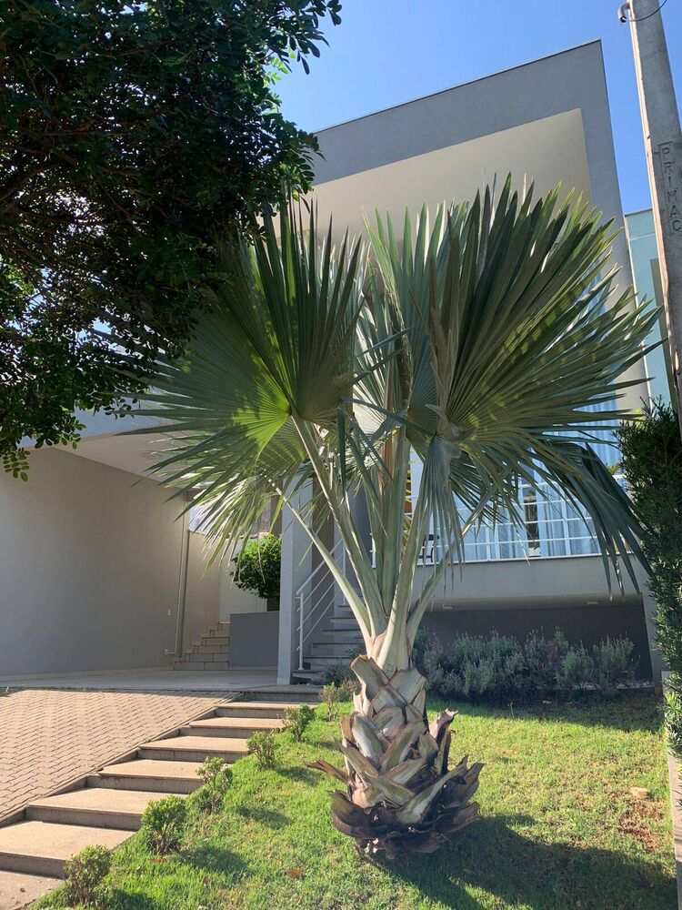 Casa, 3 quartos, 211 m² - Foto 4