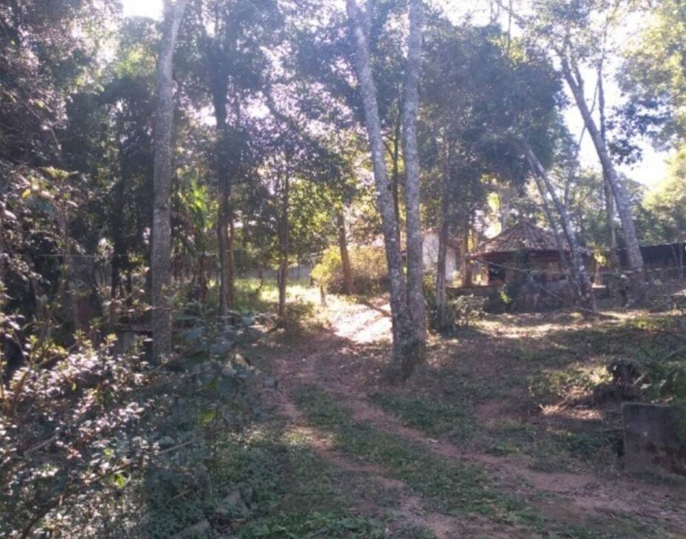 Terreno, 5138 m² - Foto 2
