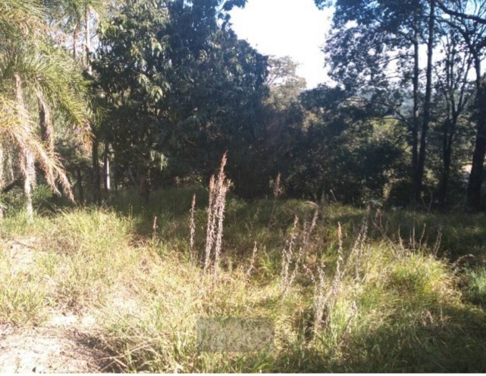 Terreno, 5138 m² - Foto 1