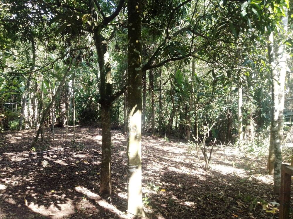 Chácara, 3 quartos, 1600 m² - Foto 9