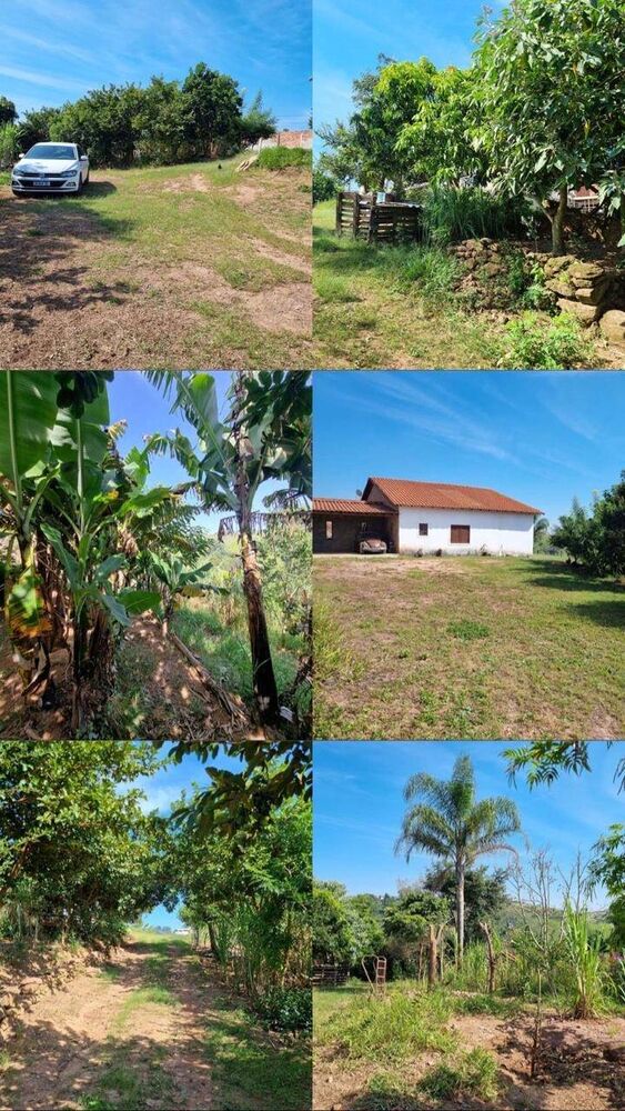 Chácara, 3 quartos, 6000 m² - Foto 5