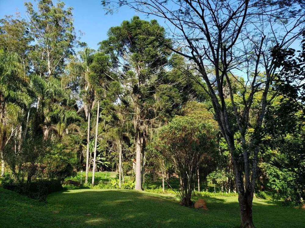 Sítio, 10 quartos, 19 hectares - Foto 9