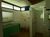 Sítio, 10 quartos, 19 hectares - Foto 4