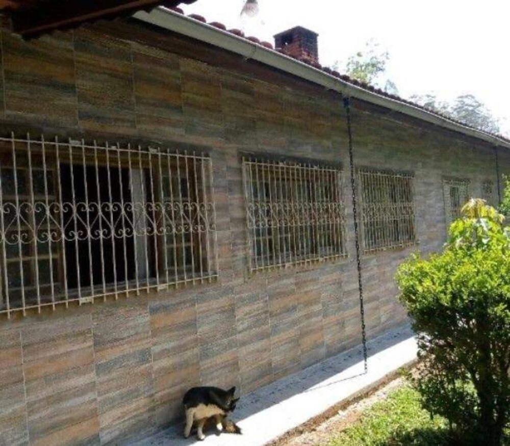 Sítio, 5 quartos, 2 hectares - Foto 12