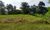 Terreno, 305 m² - Foto 3