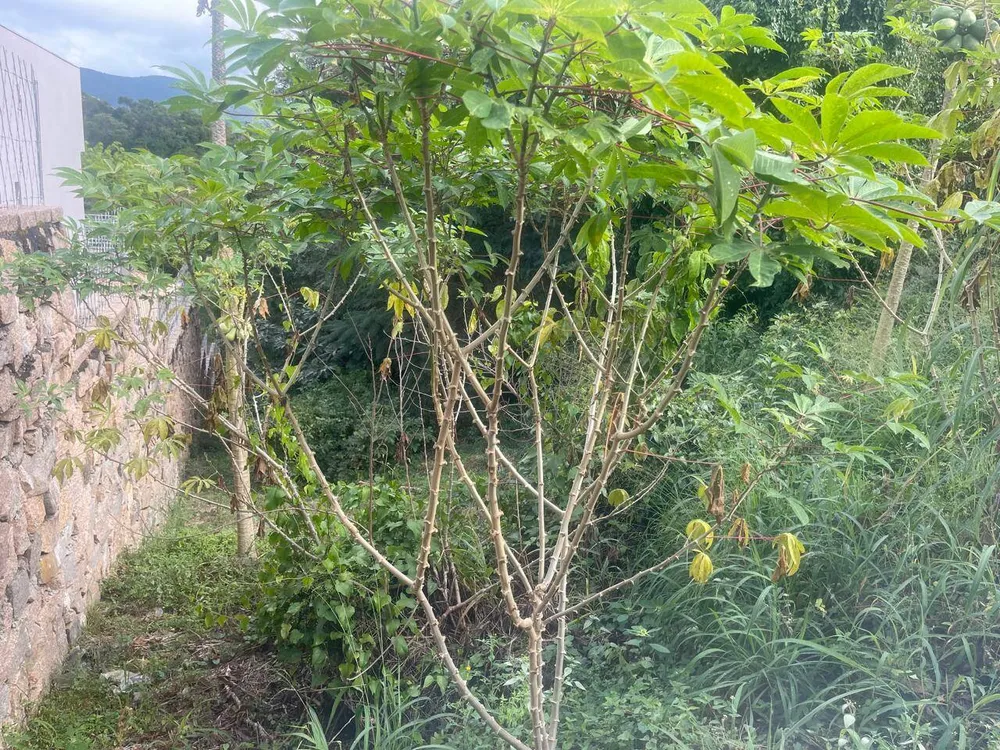 Terreno, 1000 m² - Foto 4