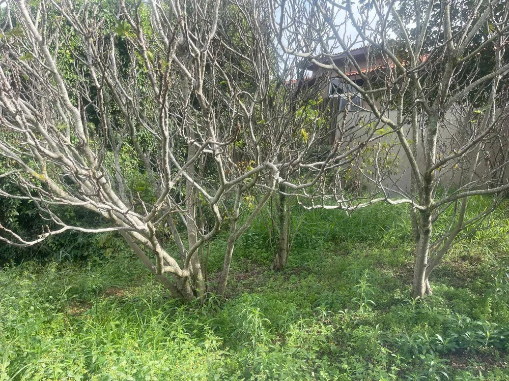 Terreno, 1000 m² - Foto 2