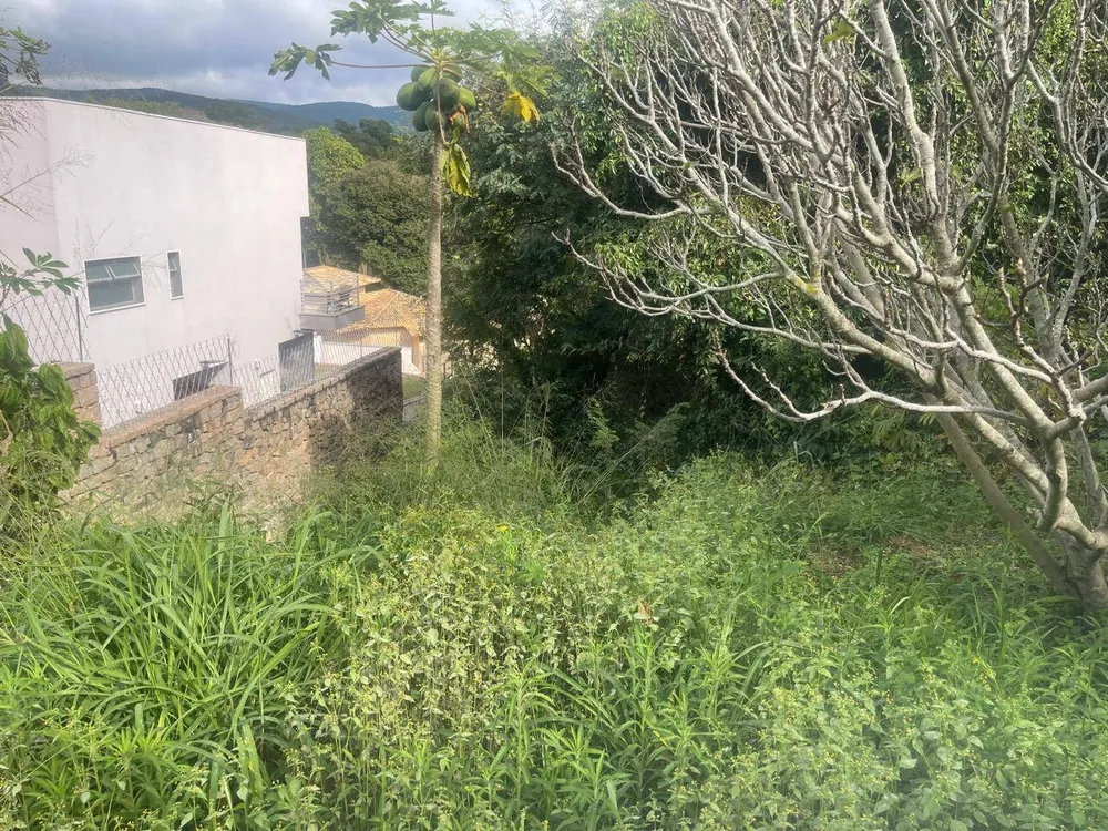 Terreno, 1000 m² - Foto 3