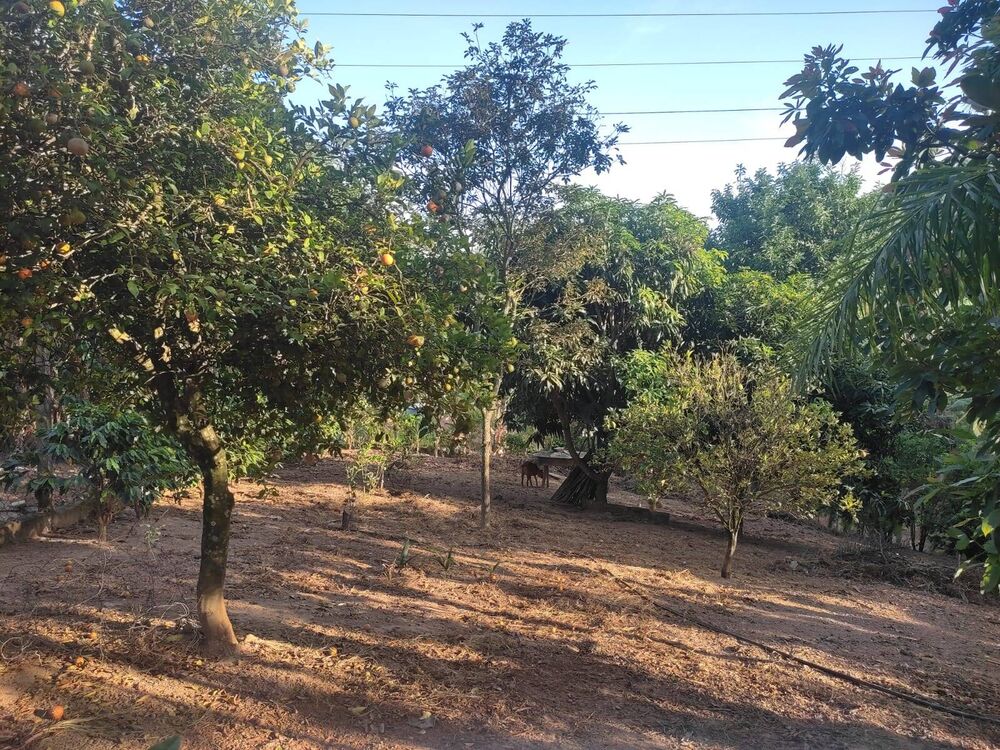 Chácara à venda com 4 quartos, 250m² - Foto 3