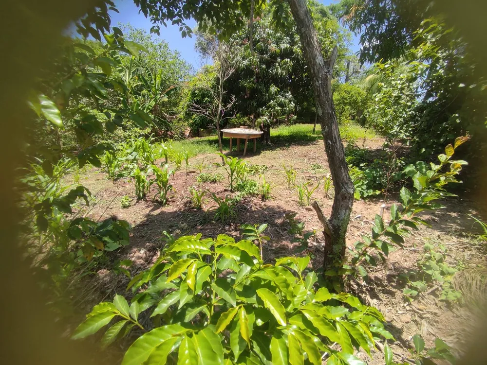 Chácara, 4 quartos, 2000 m² - Foto 5
