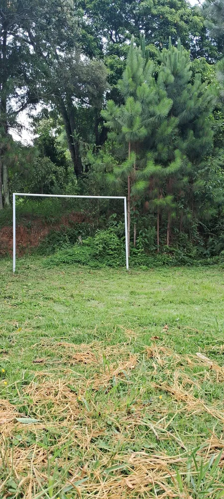 Chácara, 4 quartos, 3100 m² - Foto 4