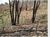 Terreno, 5000 m² - Foto 2