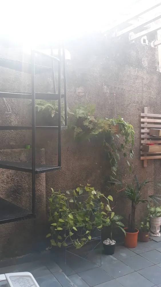 Casa, 3 quartos, 260 m² - Foto 3