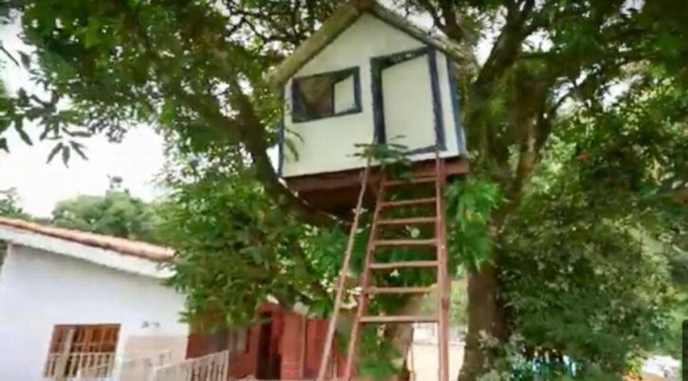 Chácara à venda com 3 quartos, 336m² - Foto 36