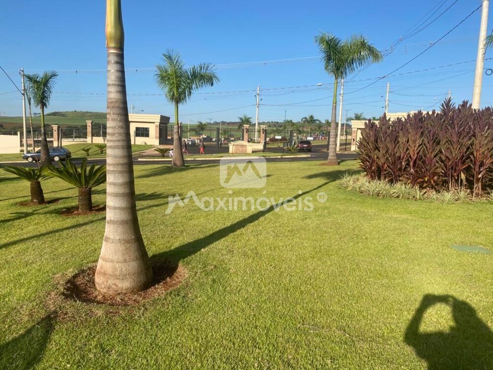 Terreno, 250 m² - Foto 1