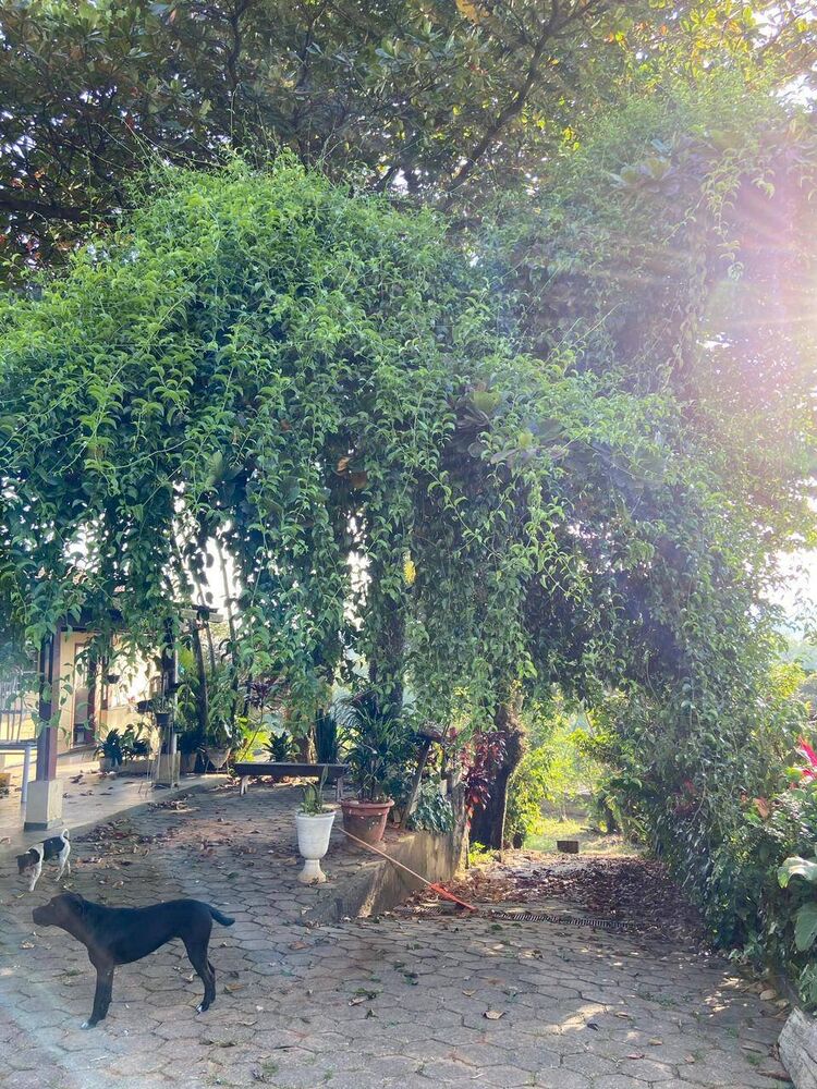 Terreno, 1700 m² - Foto 20