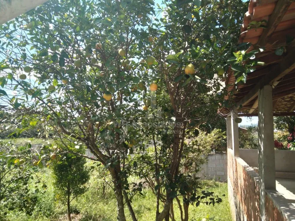 Chácara, 2 quartos, 995 m² - Foto 9