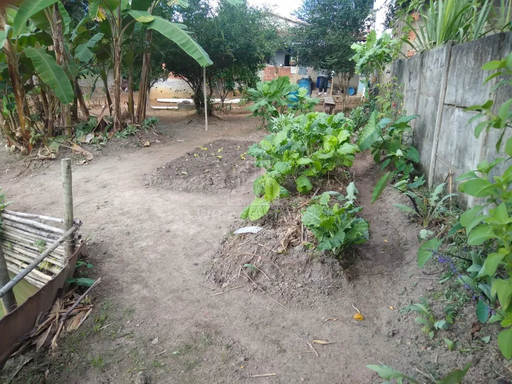 Chácara, 2 quartos, 995 m² - Foto 10