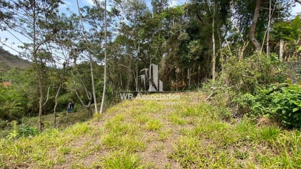 Terreno, 2239 m² - Foto 6