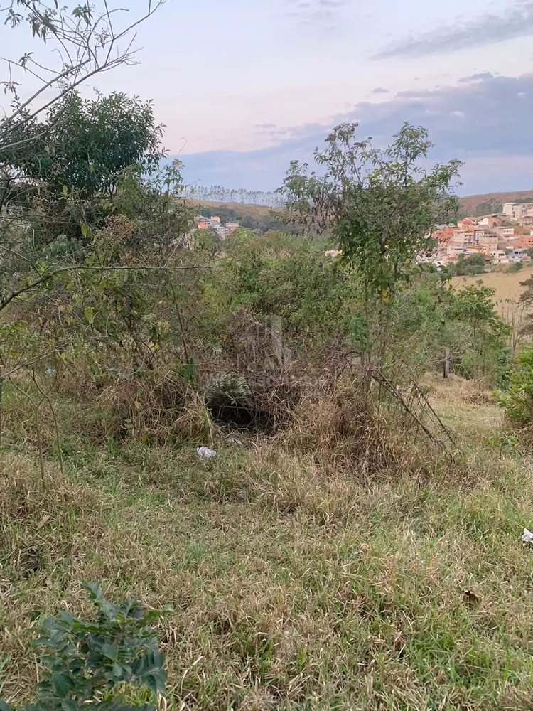 Terreno, 310 m² - Foto 3