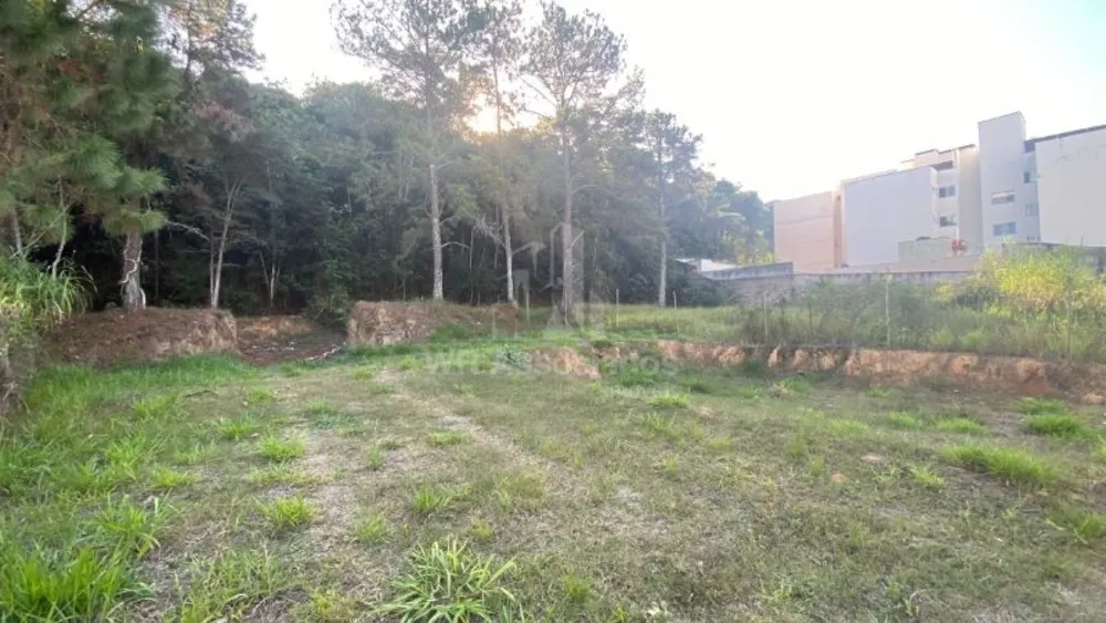 Terreno, 683 m² - Foto 3