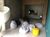 Apartamento, 3 quartos, 215 m² - Foto 37