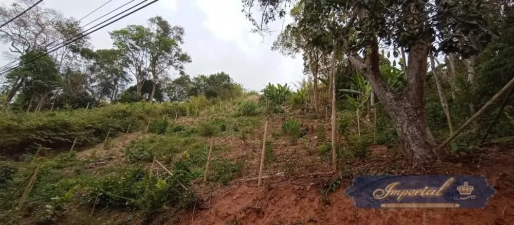 Terreno, 920 m² - Foto 7