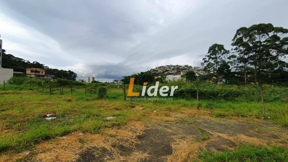 Terreno, 2 hectares - Foto 2