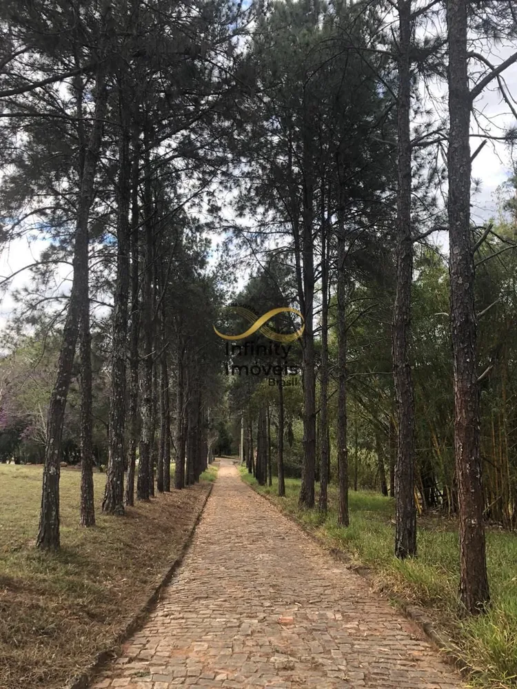 Chácara, 5 quartos, 15 hectares - Foto 3