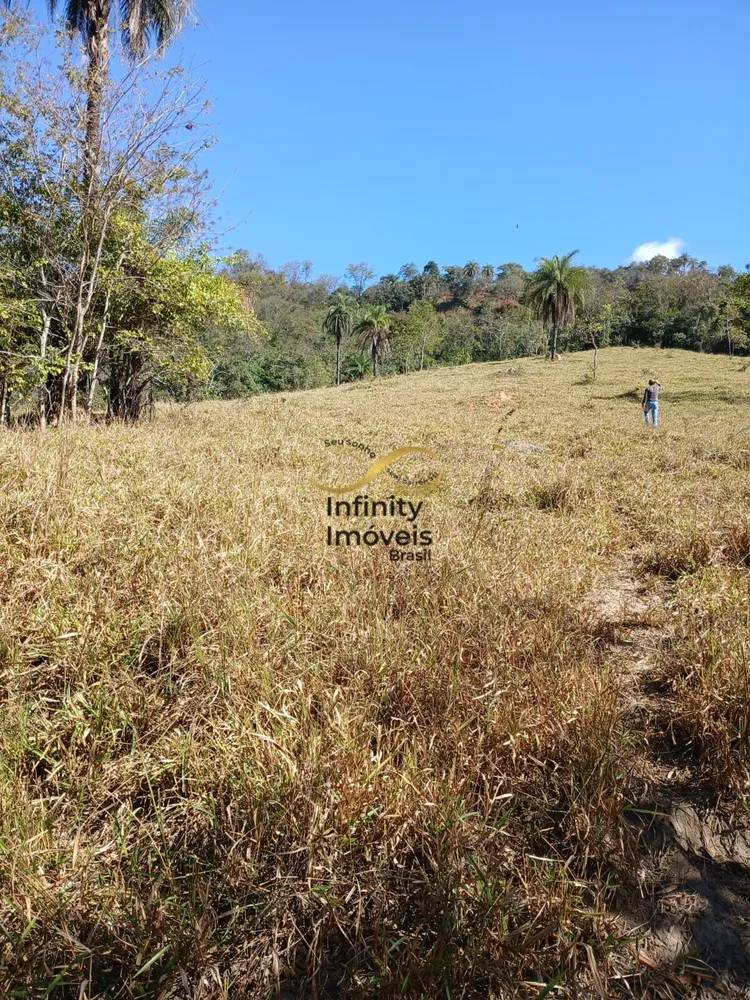 Chácara, 1 quarto, 3 hectares - Foto 4