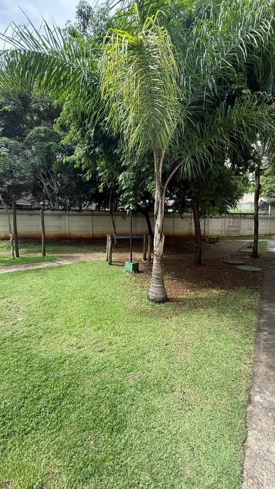 Apartamento - Foto 6